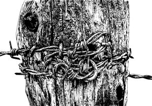 Essay: At the Old Border, included in the Dark Mountain Project -- Issue 4: TERRA